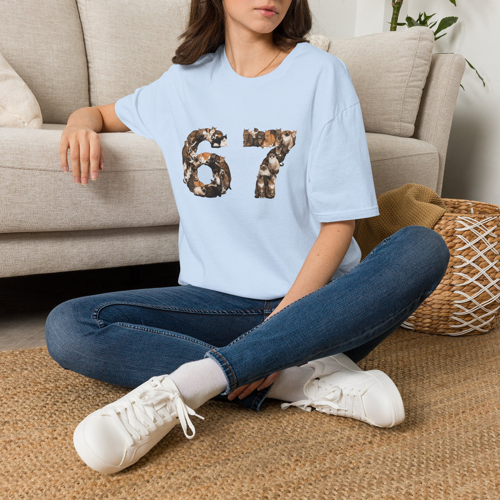 Cats Number 67 Soft T-Shirt (Animal Lover)