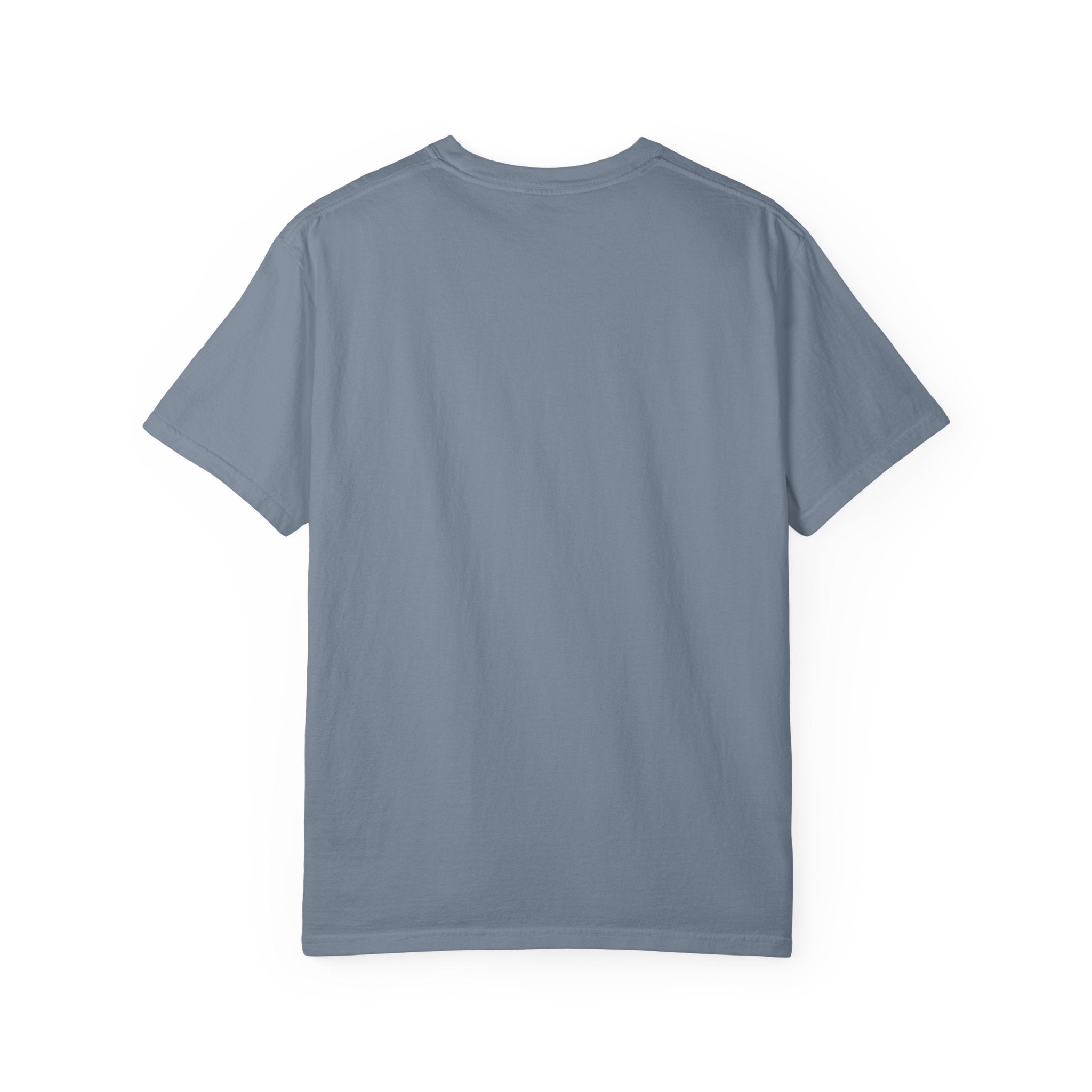 Dog on Rocket T-Shirt (Chill It’s Not Rocket Science Graphic Tee)