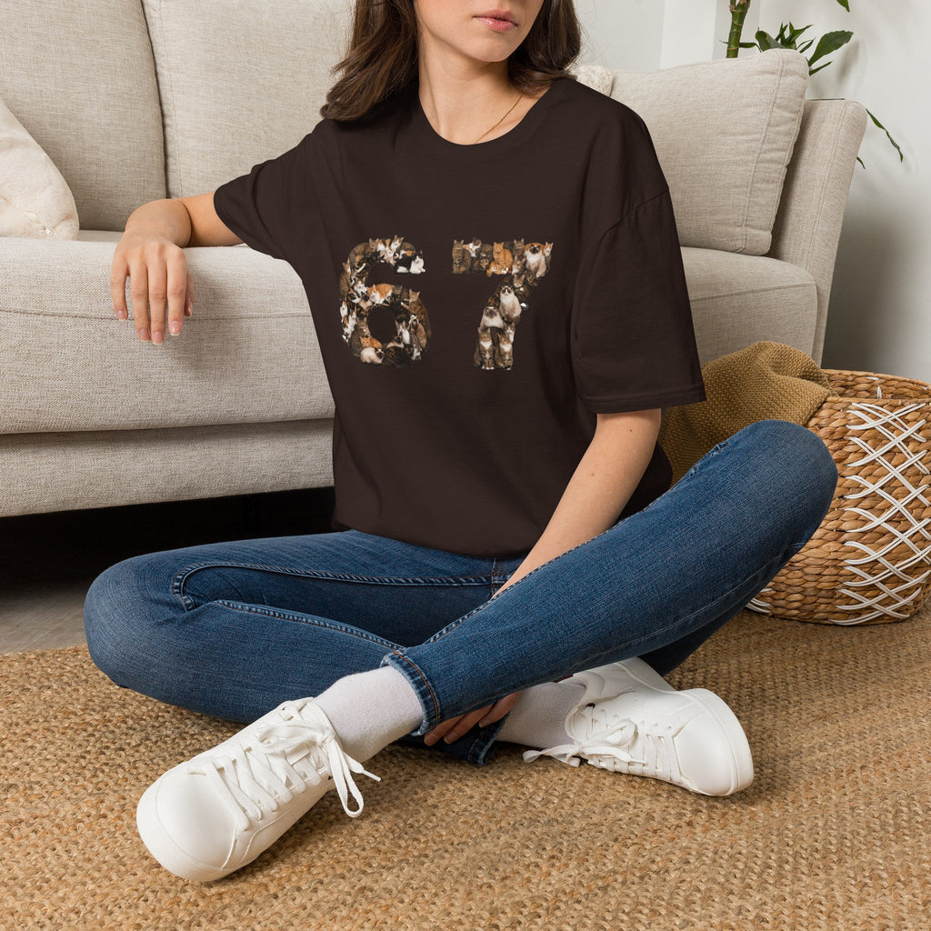 Cats Number 67 Soft T-Shirt (Animal Lover)