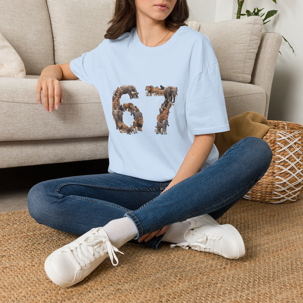 Zoo Animals 67 Soft T-Shirt (Animal Lover)