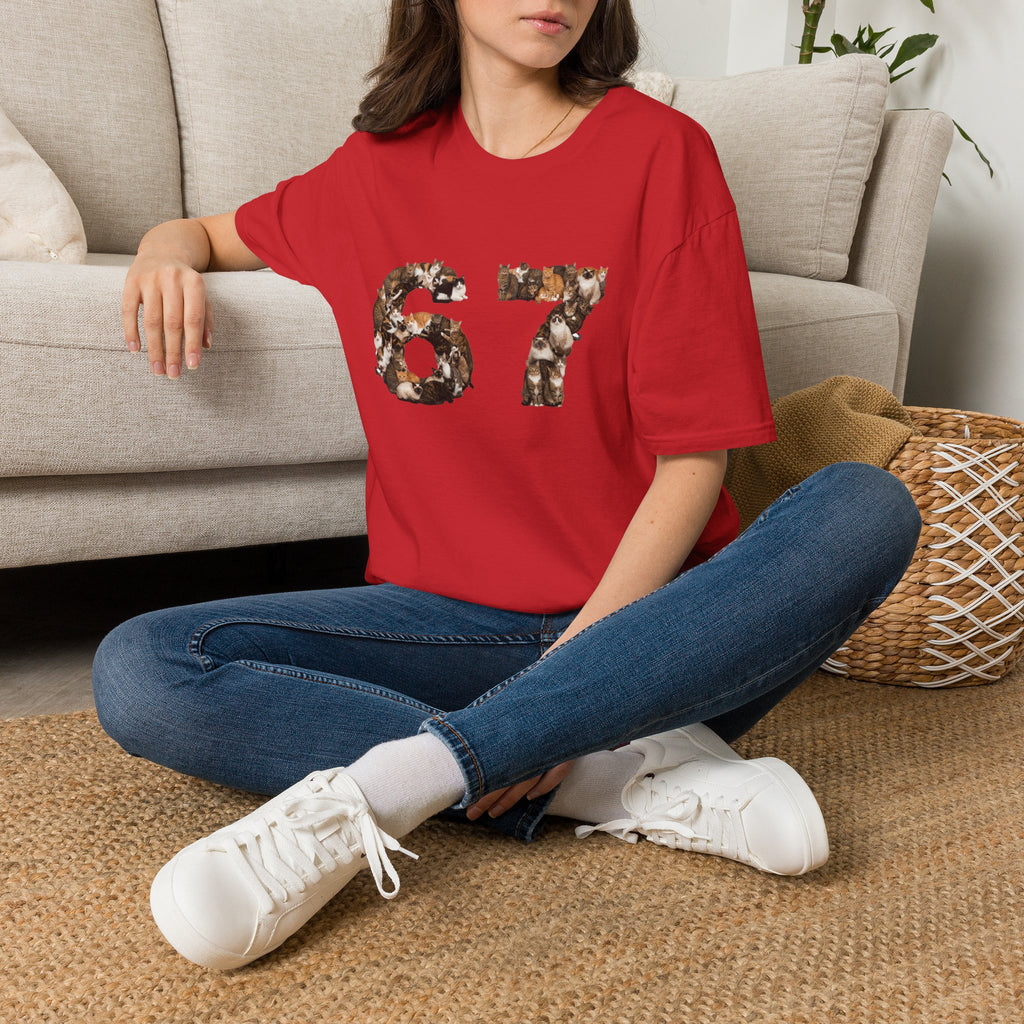 Cats Number 67 Soft T-Shirt (Animal Lover)