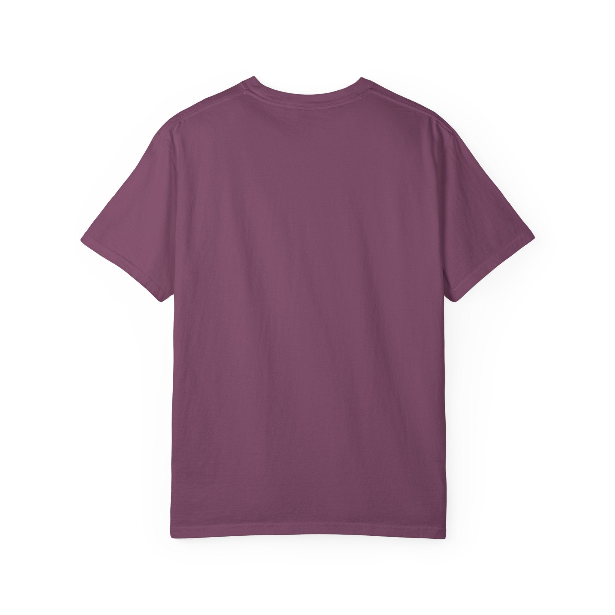 Dog on Rocket T-Shirt (Chill It’s Not Rocket Science Graphic Tee)